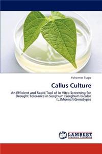 Callus Culture