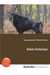 Sable Antelope
