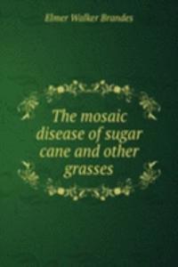mosaic disease of sugar cane