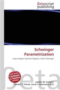 Schwinger Parametrization