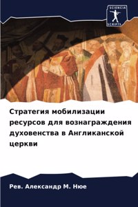 Стратегия мобилизации ресурсов для возна
