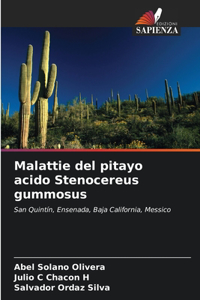 Malattie del pitayo acido Stenocereus gummosus