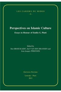 Perspectives on Islamic Culture