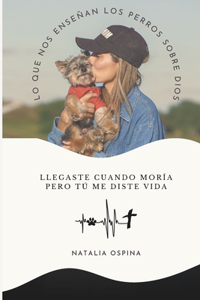 Lo Que Nos Enseñan Los Perros Sobre Dios