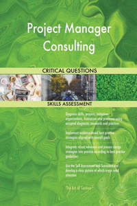 Project Manager Consulting Critical Questions Skills Assessment