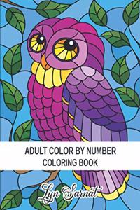 Adult Color By Number Coloring Book