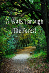 Walk Through the Forest
