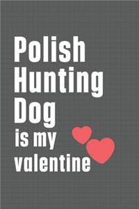 Polish Hunting Dog is my valentine