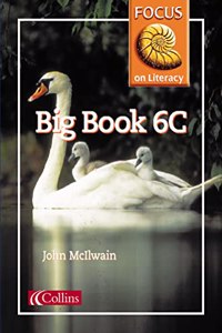 Focus on Literacy (40) â€“ Big Book 6C