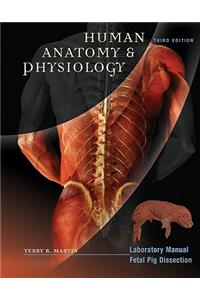 Human Anatomy & Physiology
