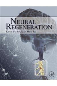 Neural Regeneration