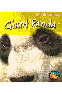 Save the Giant Panda