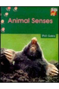 Animal Senses