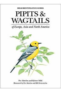Pipits and Wagtails of Europe, Asia and North America