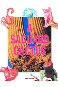 Saguaro Cactus