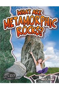 What Are Metamorphic Rocks?