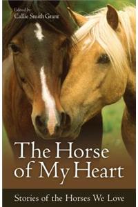 Horse of My Heart