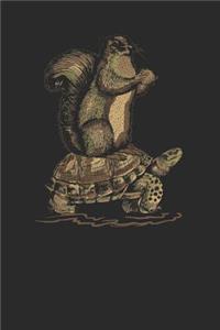 Squirrels