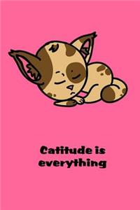 Catitude Is Everything