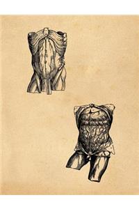 Anatomy Notebook
