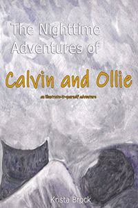 The Nighttime Adventures of Calvin and Ollie