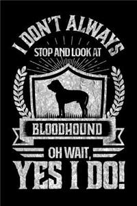 I Don't Always Stop and Look At Bloodhound OH Wait, Yes I Do!