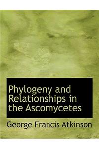 Phylogeny and Relationships in the Ascomycetes