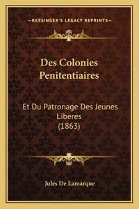 Des Colonies Penitentiaires: Et Du Patronage Des Jeunes Liberes (1863)