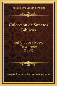 Coleccion de Sonetos Biblicos