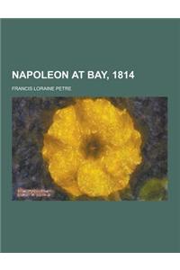 Napoleon at Bay, 1814