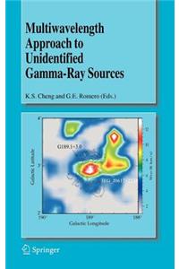 Multiwavelength Approach to Unidentified Gamma-Ray Sources: A Second Workshop on the Nature of the High-Energy Unidentified Sources