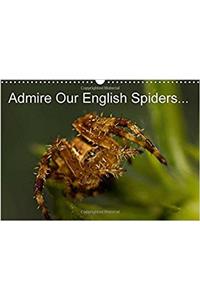 Admire Our English Spiders 2017