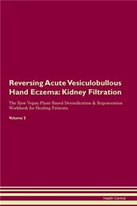 Reversing Acute Vesiculobullous Hand Eczema: Kidney Filtration The Raw Vegan Plant-Based Detoxification & Regeneration Workbook for Healing Patients. Volume 5