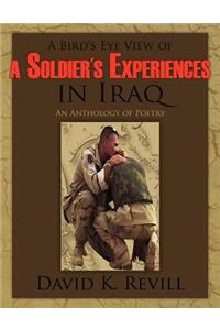 Bird's Eye View of a Soldier's Experiences in Iraq