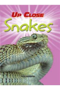 Up Close: Snakes