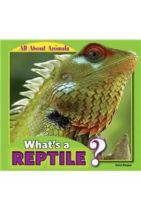 What's a Reptile?