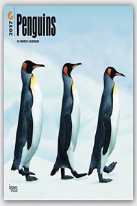 Penguins 2017 Calendar