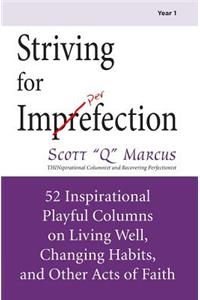 Striving for Imperfection Volume 1