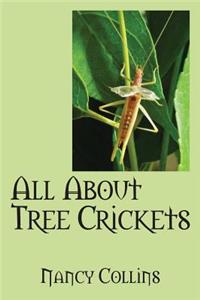 All about Tree Crickets