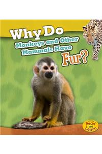 Why Do Monkeys and Other Mammals Have Fur?