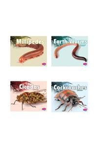 Creepy Crawlers