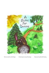 A Name for Bunny