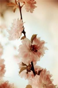 Mind Blowing Cherry Blossoms Journal