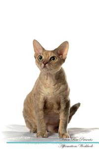 Devon Rex Affirmations Workbook Devon Rex Presents
