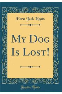 My Dog Is Lost! (Classic Reprint)