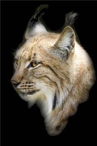 Portrait of a Bobcat Journal