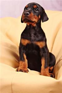 Doberman Puppy Dog Journal