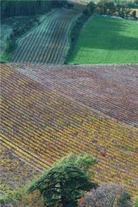 Aerial View of Fields in Provence France Journal