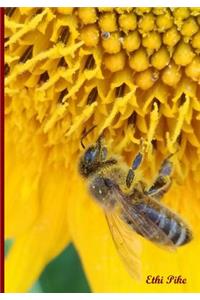 Ethi Pike - Notebook / Extended Lines / Bee