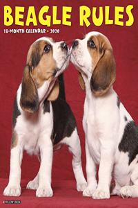 Beagle Rules 2020 Wall Calendar (Dog Breed Calendar)